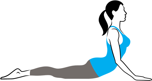 Cobra Pose Bhujangasana - Cobra Pose Bhujangasana (600x335)