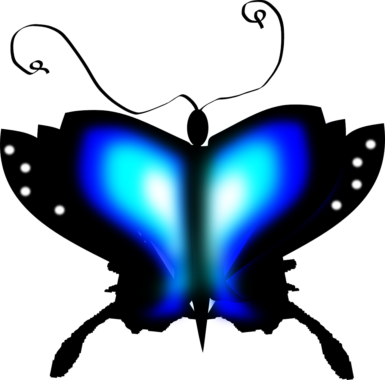 Butterfly Insect Blue Black Transparent Image - Butterfly Insect Blue Black Transparent Image (1280x1261)