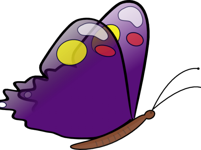 Moth Clipart Animated - Moth Clipart Animated (640x480)