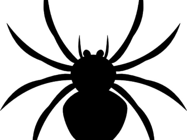 Spiders Cliparts - Spiders Cliparts (640x480)
