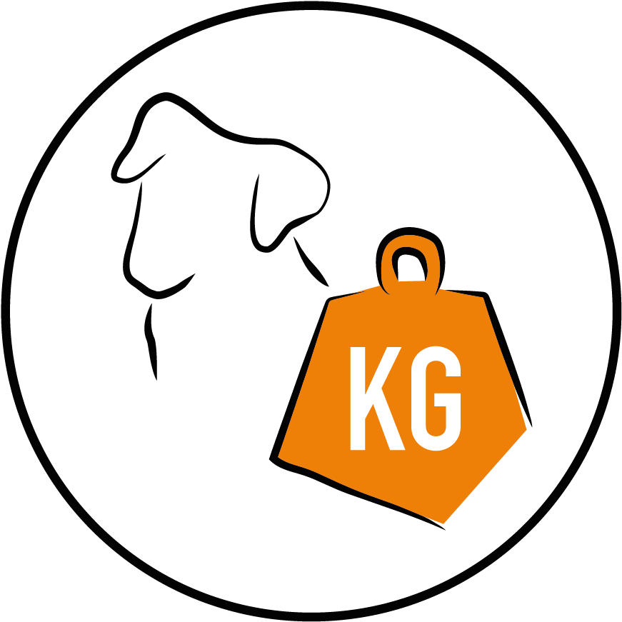 Arion Original Adult Medium Senior - Arion Original Adult Medium Senior (886x886)