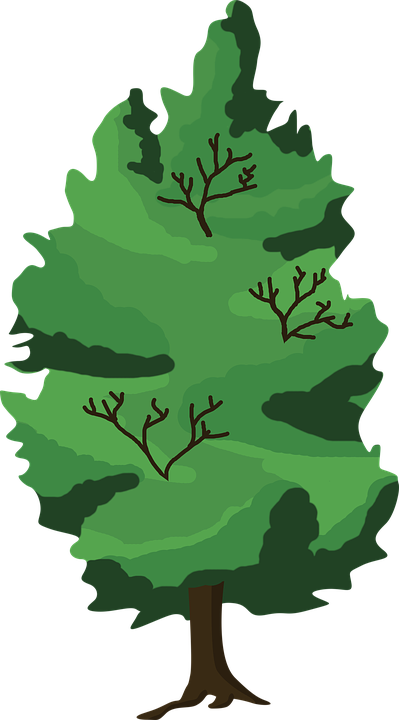 Wood Clipart Bosque - Wood Clipart Bosque (399x720)