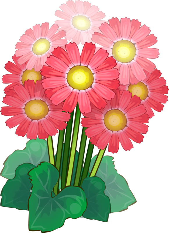 Color Vector, Vector Flowers, Free Vector Graphics, - Color Vector, Vector Flowers, Free Vector Graphics, (581x800)