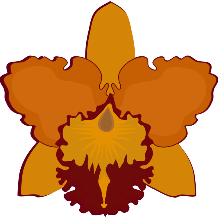 Cattleya Orchids Flowering Plant Petal Moth Orchids - Cattleya Orchids Flowering Plant Petal Moth Orchids (750x750)