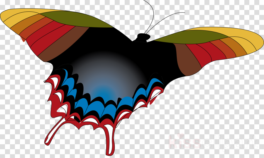 Butterfly Clipart Seizing Clip Art - Butterfly Clipart Seizing Clip Art (900x540)