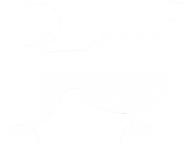 Poodle Clipart Printable - Poodle Clipart Printable (640x480)