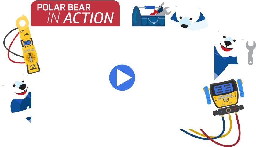 Polar Bear Conditioning Residential - Polar Bear Conditioning Residential (872x507)