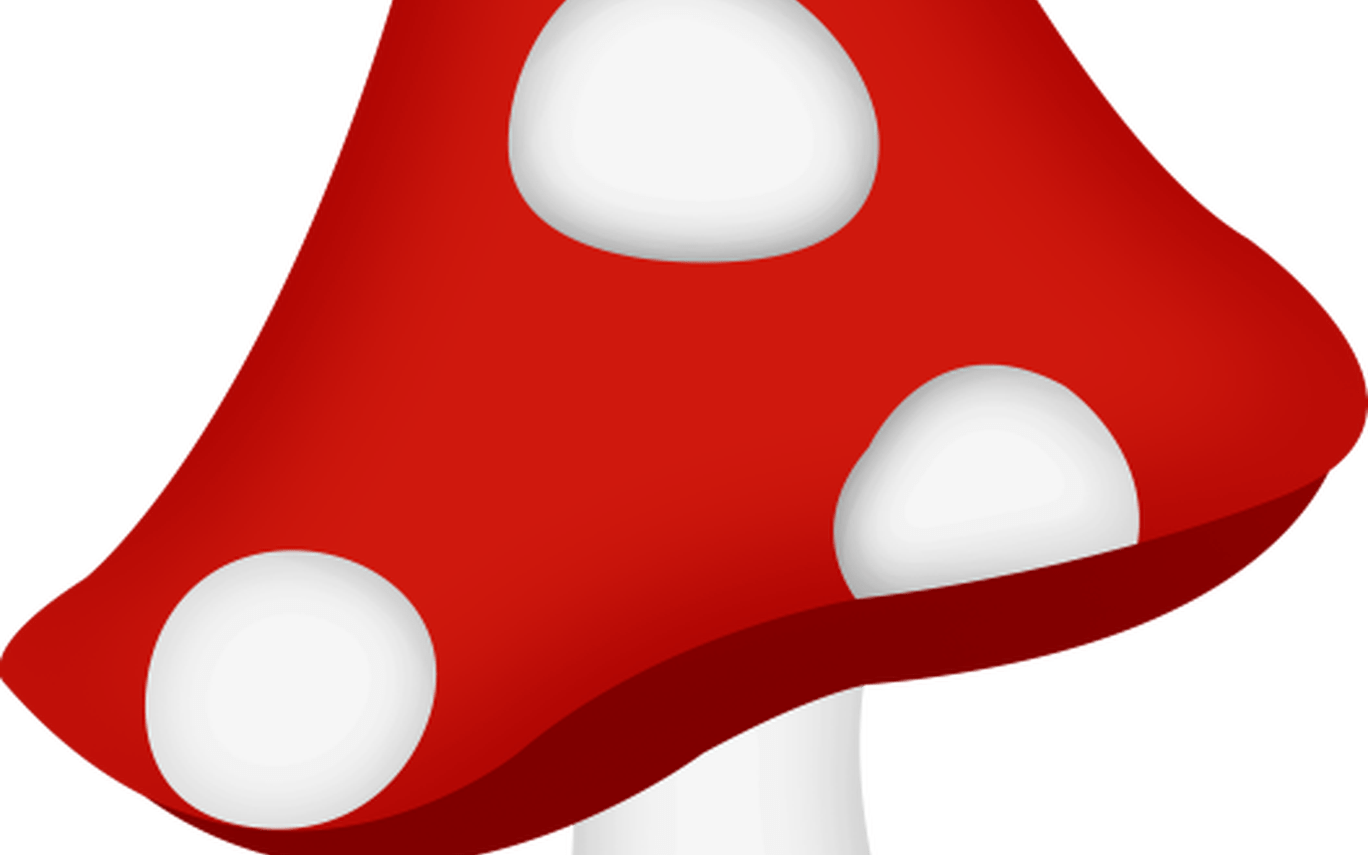Aw Puddle Mushroom Redpng Clip Art Pinterest Fairy - Aw Puddle Mushroom Redpng Clip Art Pinterest Fairy (1368x855)