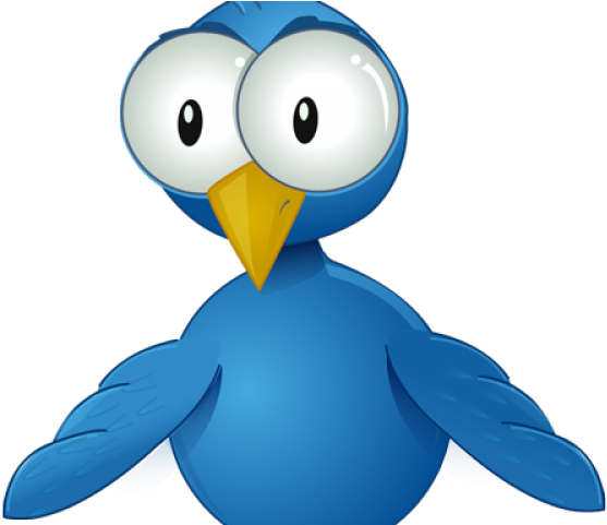 Beak Clipart Chart Bird - Beak Clipart Chart Bird (640x480)