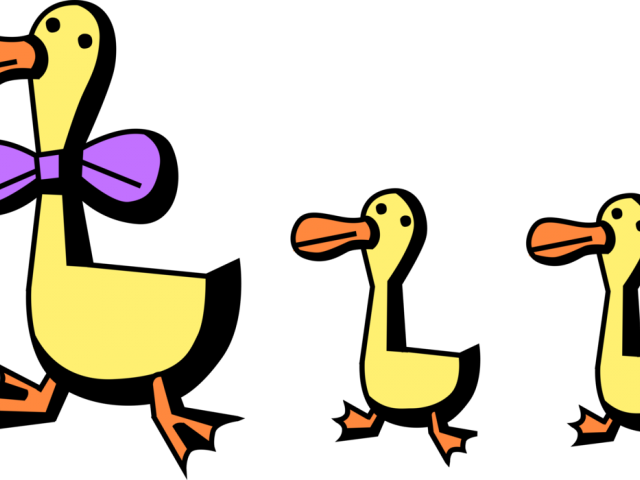 Beak Clipart Duck - Beak Clipart Duck (640x480)