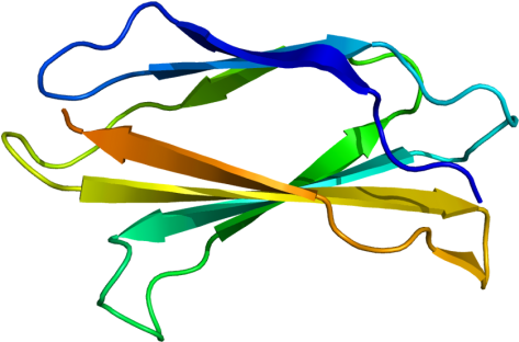 The Future Of Hiv, With Tenascin-c - The Future Of Hiv, With Tenascin-c (500x339)