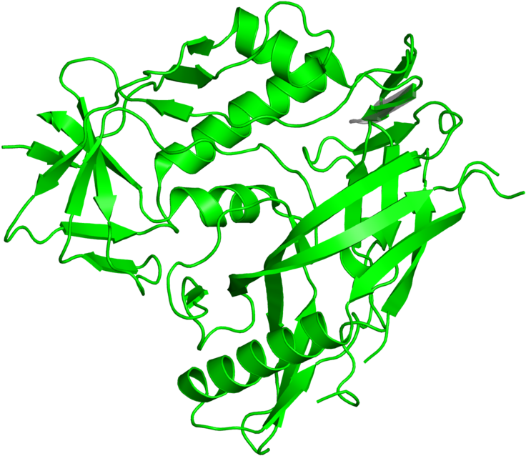 <div Class='caption-body'>1 Copy Of Cath Domain < - <div Class='caption-body'>1 Copy Of Cath Domain < (800x800)