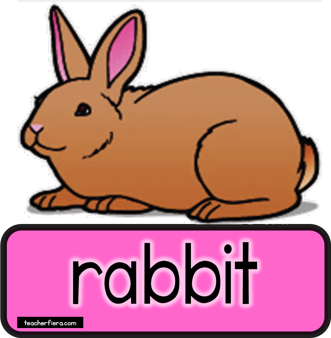 Teacherfiera Com Would Really Appreciate If You - Teacherfiera Com Would Really Appreciate If You (1060x1202)