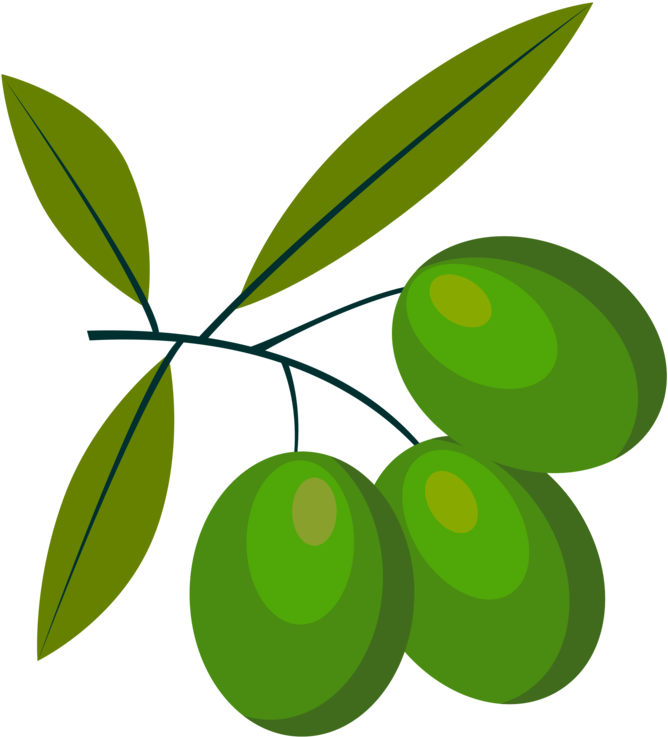 All Photo Png Clipart - All Photo Png Clipart (681x750)