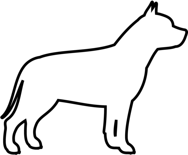 Drawn Pit Bull Outline - Drawn Pit Bull Outline (600x600)