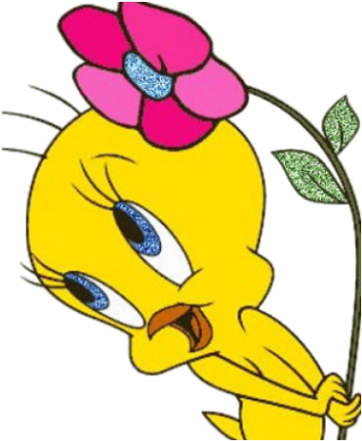 Happy Birthday Wishes, Quotes & Greetings Sms - Happy Birthday Wishes, Quotes & Greetings Sms (512x512)