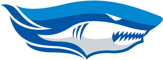 Chonburi Football Club Identity By Farmgroup, Via Behance - Chonburi Football Club Identity By Farmgroup, Via Behance (600x310)