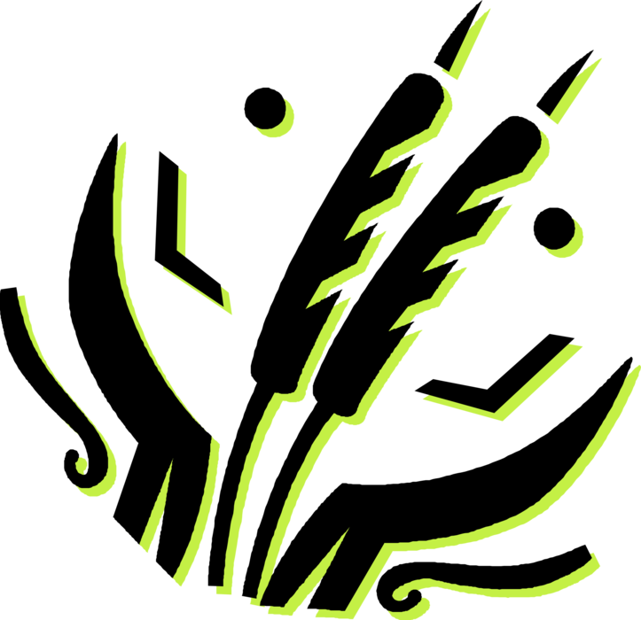 Cattail Bulrushes In Wetlands - Cattail Bulrushes In Wetlands (723x700)