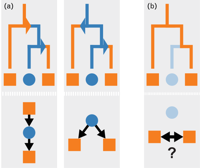 Phylogenies Provide Incomplete Transmission Network - Phylogenies Provide Incomplete Transmission Network (648x543)
