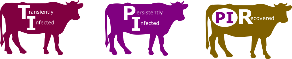 Animals That Are Pregnant Or Become Pregnant When Sent - Animals That Are Pregnant Or Become Pregnant When Sent (1024x207)