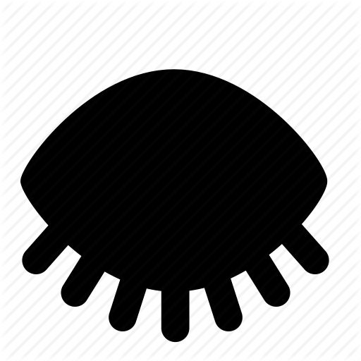 Circle Clipart Manual Transmission Automatic Transmission - Circle Clipart Manual Transmission Automatic Transmission (512x512)