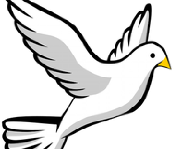Peace Dove Clipart Catholic - Peace Dove Clipart Catholic (640x480)