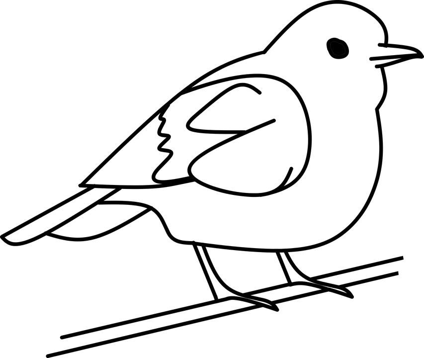 19 Bird Clip Black And White Coloring Huge Freebie - 19 Bird Clip Black And White Coloring Huge Freebie (853x720)