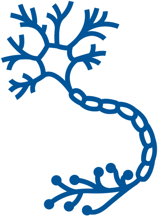 Nerves Clipart Neuropathy - Nerves Clipart Neuropathy (750x750)