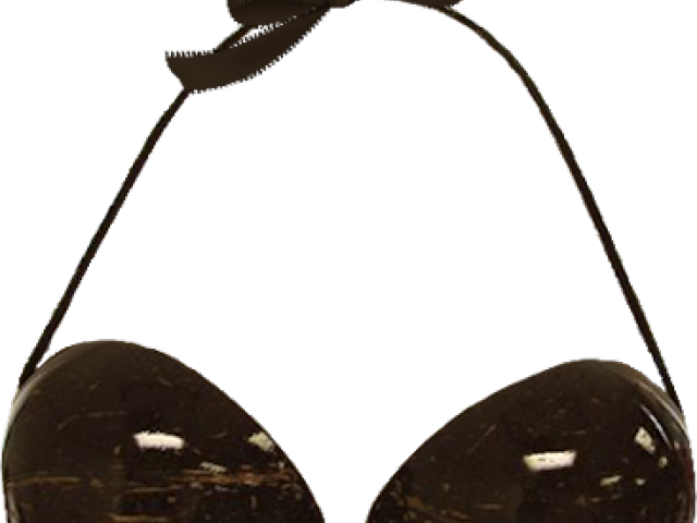 Coconut Clipart Coconut Bra - Coconut Clipart Coconut Bra (640x480)