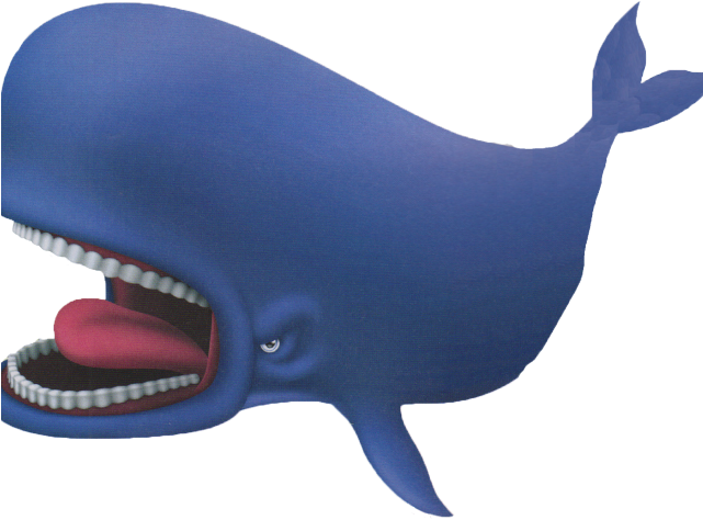 Sperm Whale Clipart Cute - Sperm Whale Clipart Cute (640x480)
