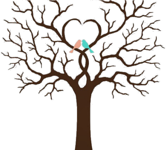 Swamp Clipart Moss - Swamp Clipart Moss (640x480)