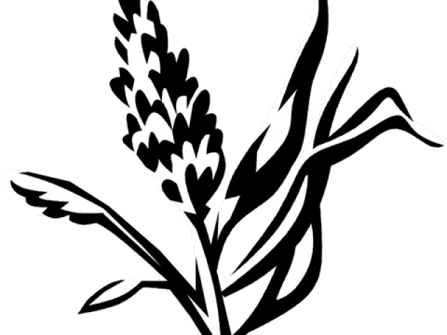 Swamp Clipart Buffalo Grass - Swamp Clipart Buffalo Grass (640x480)