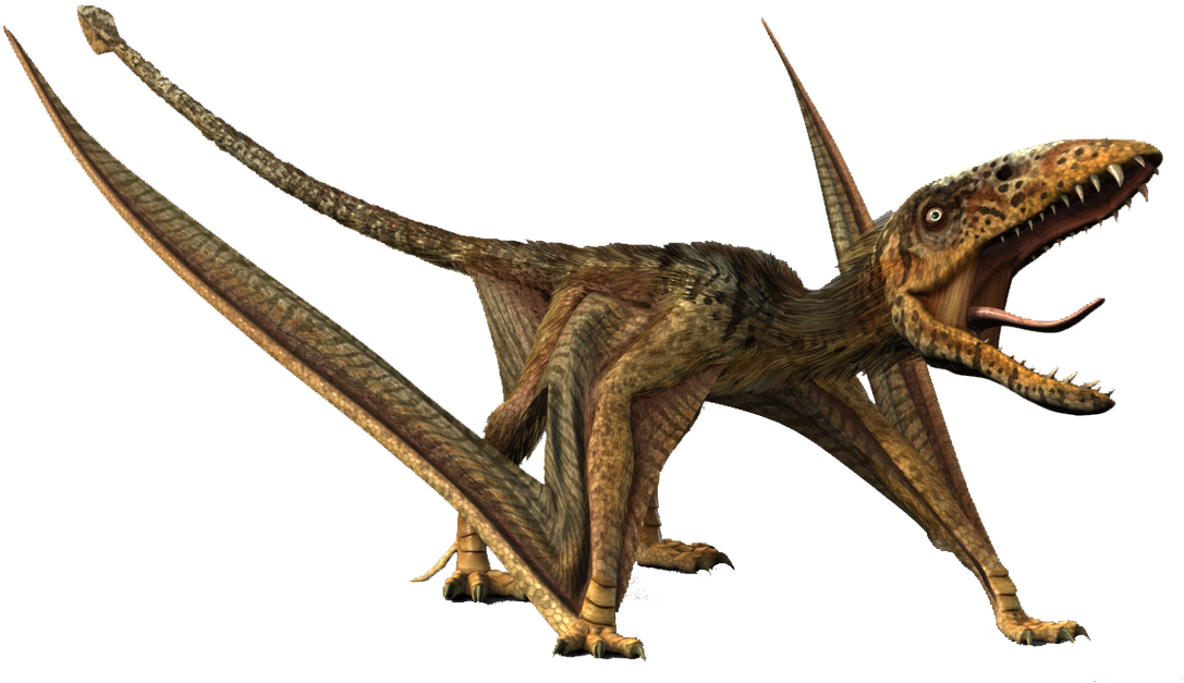 Flying Dinosaurs Www Pixshark Com Images Galleries - Flying Dinosaurs Www Pixshark Com Images Galleries (1100x668)