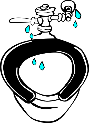 Leak Plumbing Love Jb - Leak Plumbing Love Jb (347x480)