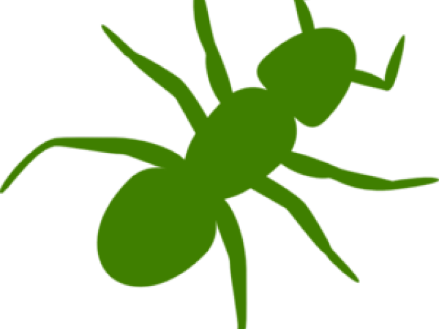 Ant Clipart Family - Ant Clipart Family (640x480)