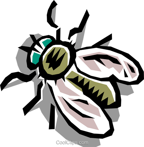 House Fly Royalty Free Vector Clip Art Illustration - House Fly Royalty Free Vector Clip Art Illustration (471x480)