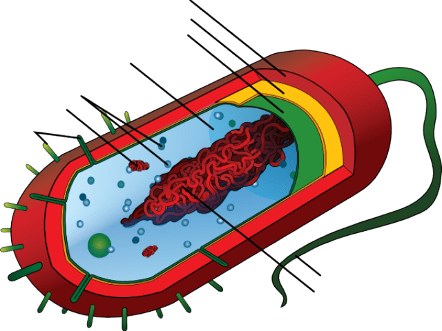 Chemistry Worksheets - Chemistry Worksheets (640x480)
