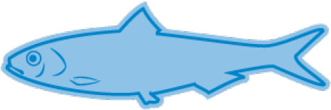 Sardine Clipart Long Fish - Sardine Clipart Long Fish (640x480)