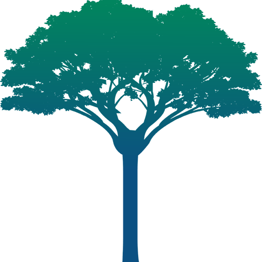 Soudehaiti Charity Organization, Non Profit Organization - Soudehaiti Charity Organization, Non Profit Organization (512x512)