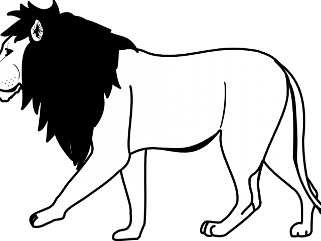 White Lion Clipart - White Lion Clipart (640x480)
