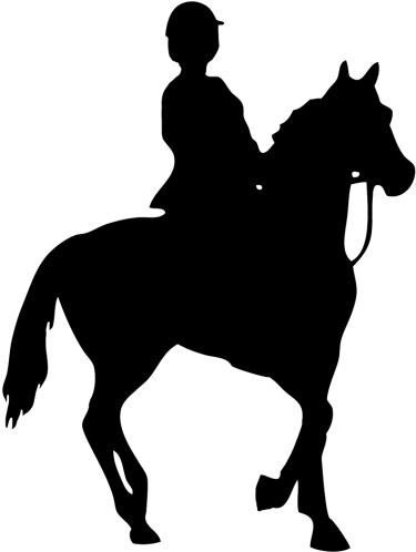 Pin Horse Riding Clipart Hors - Pin Horse Riding Clipart Hors (400x504)