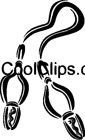 Wires Royalty Free Vector Clip Art Illustration - Wires Royalty Free Vector Clip Art Illustration (292x480)