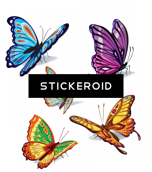 Butterflies Vector Butterfly - Butterflies Vector Butterfly (576x652)