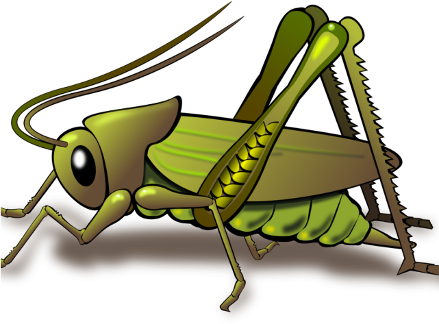 Locust Clipart Cricket Bug - Locust Clipart Cricket Bug (640x480)