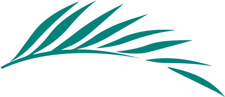 A Dispute Between A Prominent Technology Company And - A Dispute Between A Prominent Technology Company And (800x800)