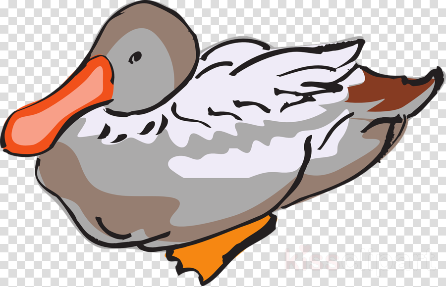 Clip Art Clipart Duck Clip Art - Clip Art Clipart Duck Clip Art (900x580)