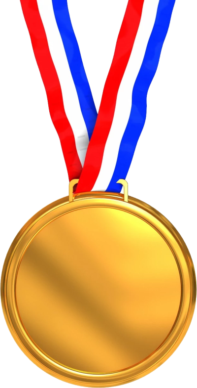 Gold Medal Png, Download Png Image With Transparent - Gold Medal Png, Download Png Image With Transparent (400x785)