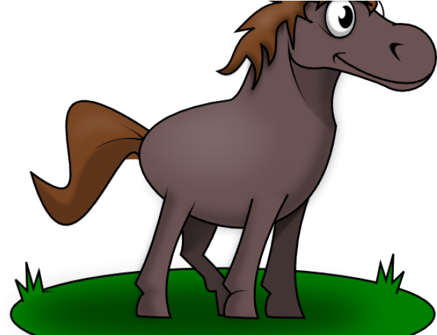 Horse X Carwad Net - Horse X Carwad Net (640x480)