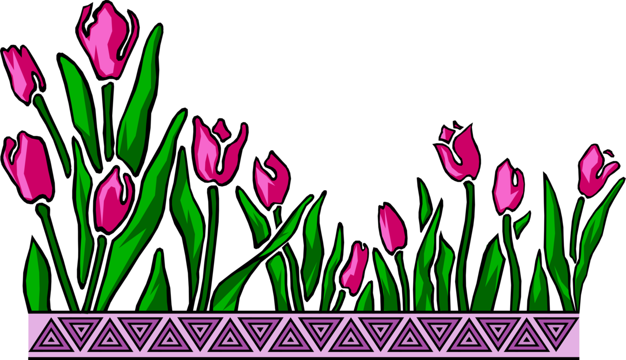 Vector Illustration Of Bulbous Plant Spring Tulips - Vector Illustration Of Bulbous Plant Spring Tulips (1217x700)