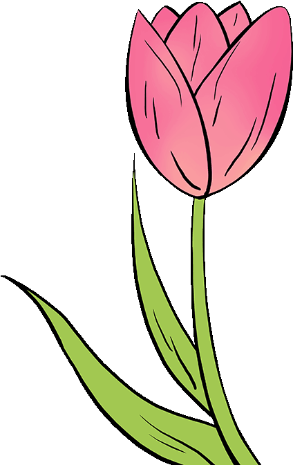 Drawing Spring Tulip - Drawing Spring Tulip (680x678)